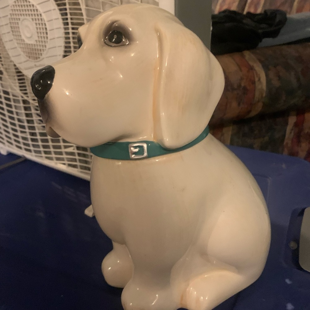 Pioneer woman cookie jar